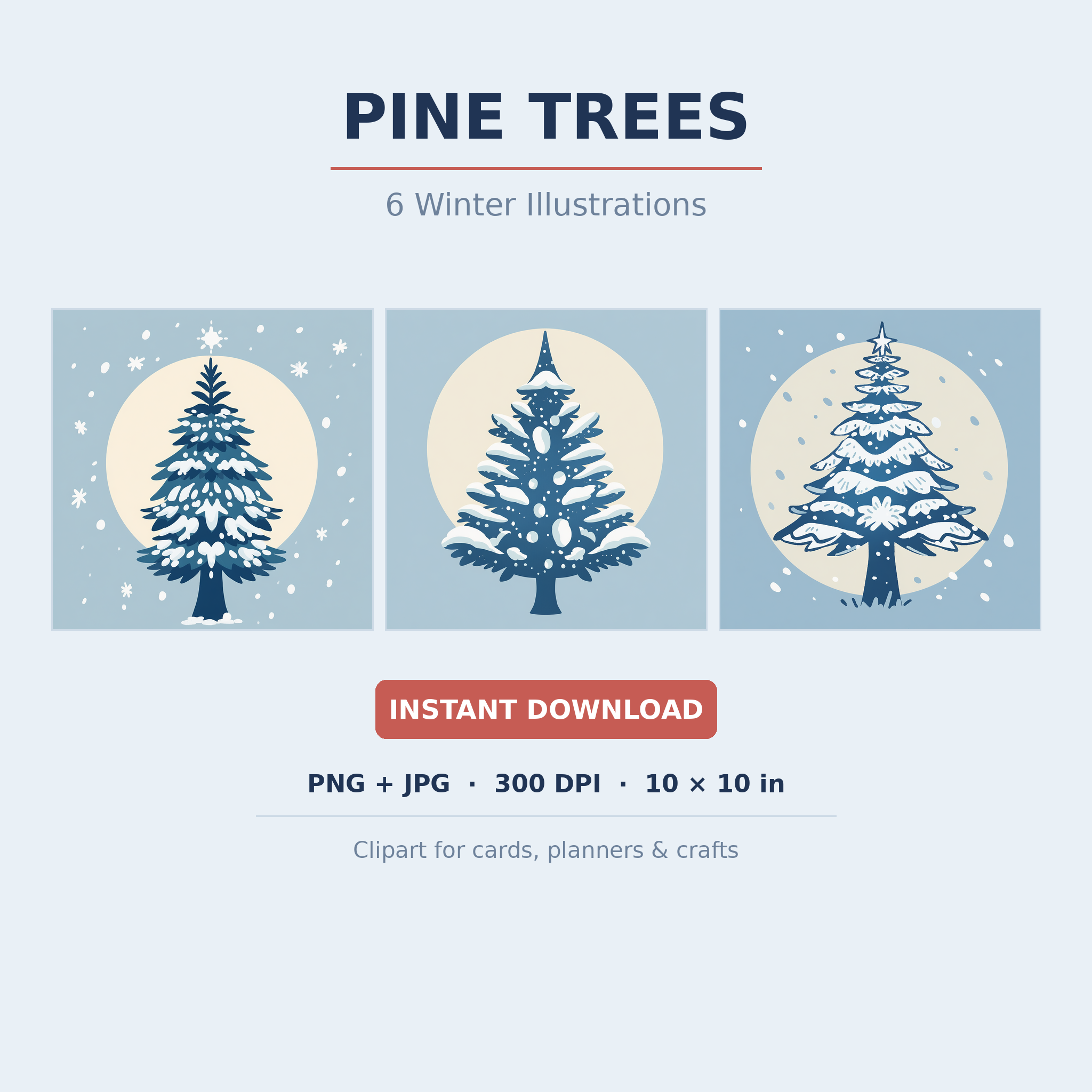 Pine Trees Clipart | 6 Winter Illustrations | Snowy Christmas Tree Digital Art | Instant Download PNG JPG